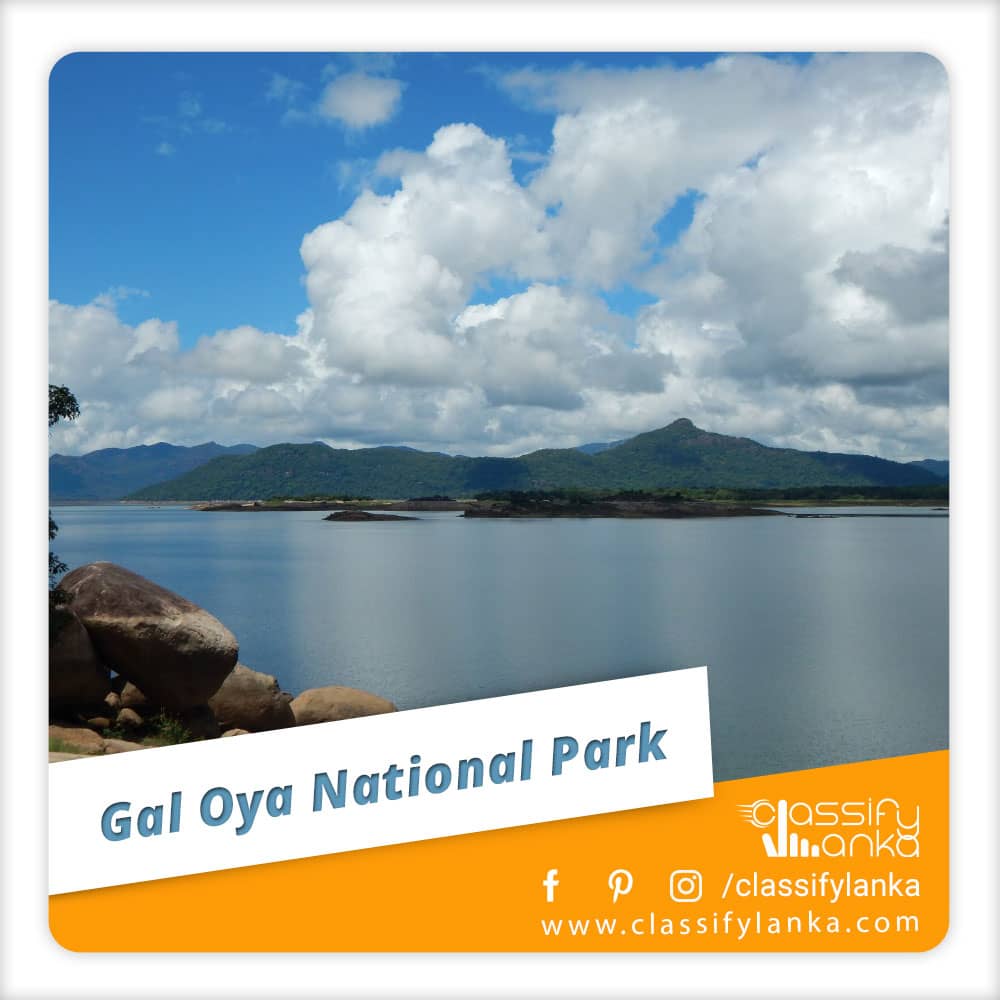 Sri Lanka Gal Oya National Park Safari guide