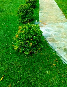 Sanjanee Garden Services Photo 3