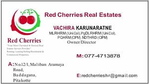 Red Cherries Real Estates Cover