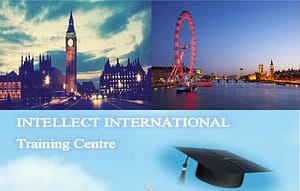 Dual diploma English IT