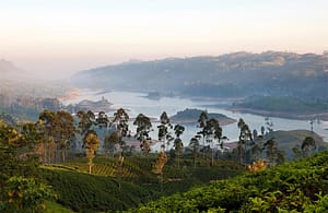 Ceylon Tea Trails Bungalow