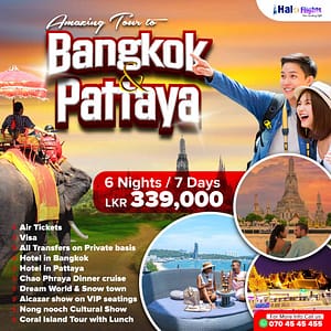 Amazing Tour to Bangkok and Pattaya low